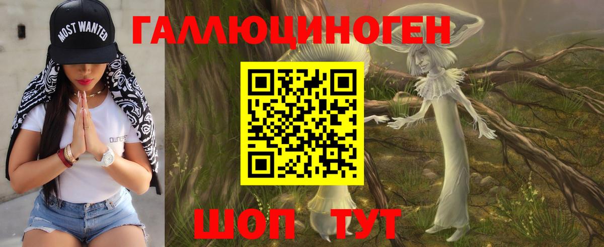 Благодарный  Псилоцибиновые грибы Magic Shrooms  Вход с VPN 